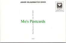 Load image into Gallery viewer, Toys Postcard - Children&#39;s Nursery Rhymes, Cinderella SW11503
