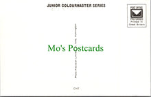 Load image into Gallery viewer, Toys Postcard - Children&#39;s Nursery Rhymes &amp; Fairy Tales SW11505
