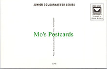 Load image into Gallery viewer, Toys Postcard - Children&#39;s Nursery Rhymes &amp; Fairy Tales SW11507
