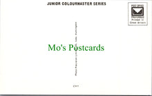 Load image into Gallery viewer, Toys Postcard - Children&#39;s Nursery Rhymes &amp; Fairy Tales SW11509
