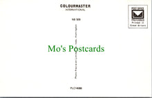 Load image into Gallery viewer, Norfolk Postcard - The Norfolk Broads SW11494
