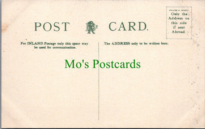 Lancashire Postcard - Blackpool, Tower Roof Gardens  SW12698