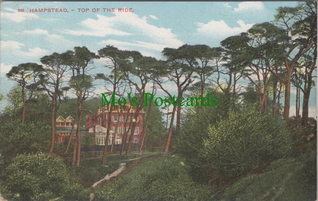 London Postcard - Hampstead, Top of The Ride   DC1633