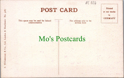 Norfolk Postcard - Hickling Broad, Artist View  DC1634