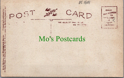 Religion Postcard - Hosanna To The Son of David DC1601