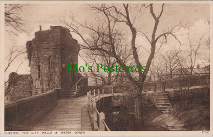 Cheshire Postcard - Chester City Walls and Water Tower  DC1554