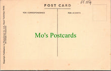 Load image into Gallery viewer, Cheshire Postcard - Chester City Walls and Water Tower  DC1554
