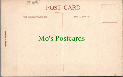 Kent Postcard - Canterbury Cathedral, Monks Infirmary Ruins  DC1495