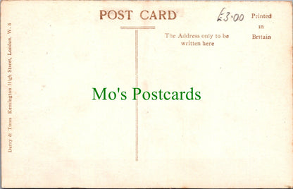 London Postcard - Kensington, Derry Gardens  SW13202