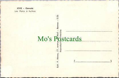 France Postcard - Cancole, Les Parcs a Huitres   SW13204