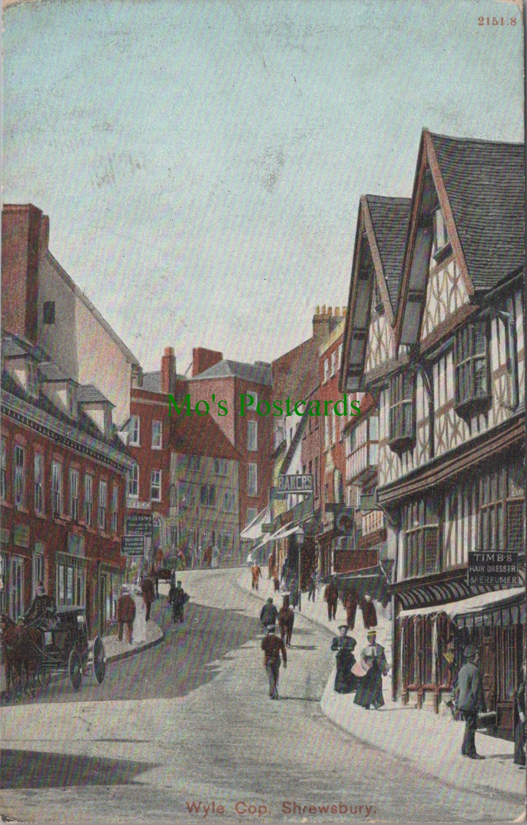 Shropshire Postcard - Shrewsbury, Wyle Cop  SW13219
