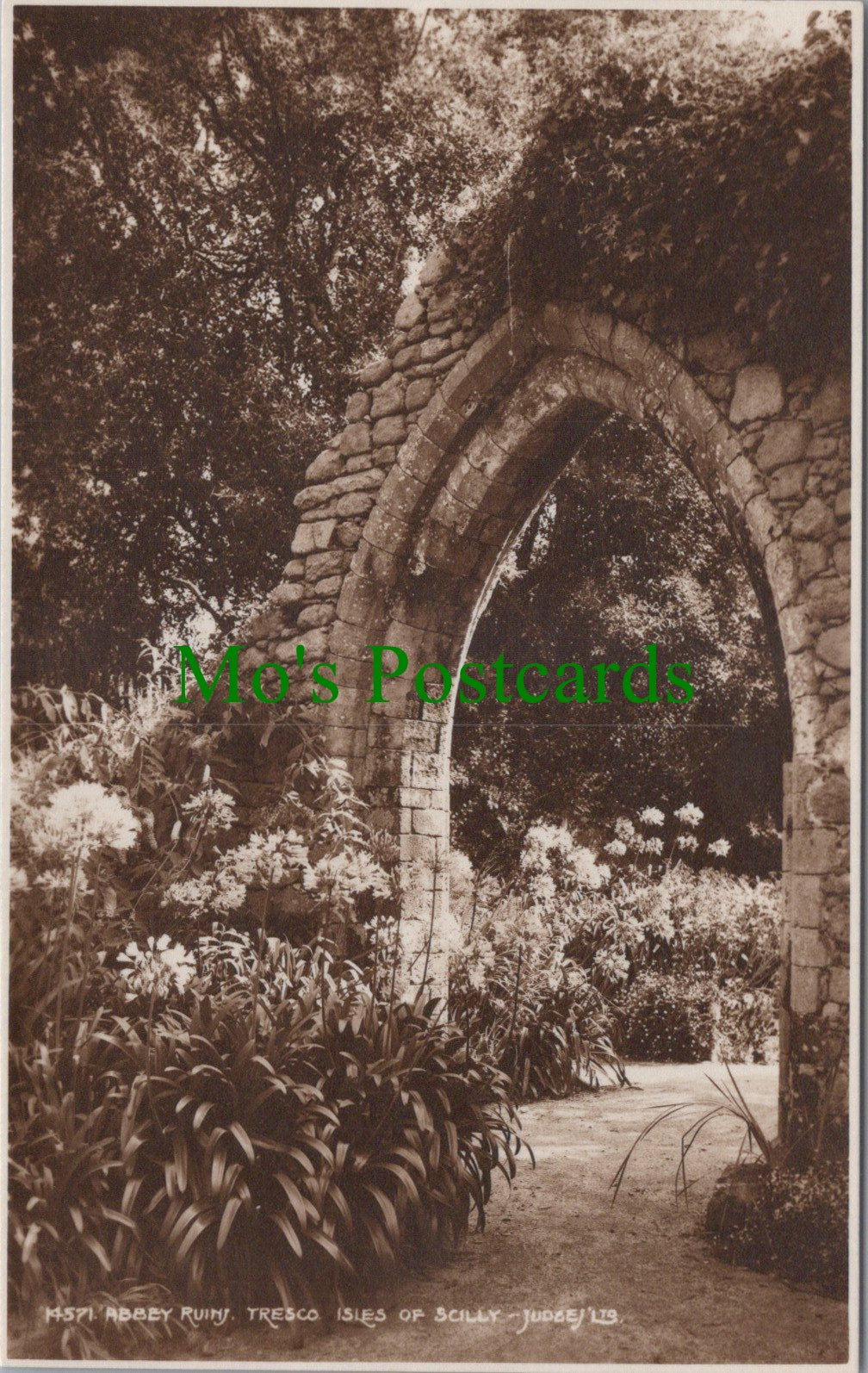 Cornwall Postcard - Abbey Ruins, Tresco, Isles of Scilly  HP162