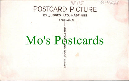 Somerset Postcard - Bath, Roman Bath and Abbey  HP175