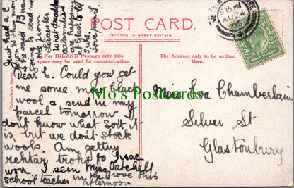 Somerset Postcard - Weston-Super-Mare, The Gardens, Grove Park  SW12670