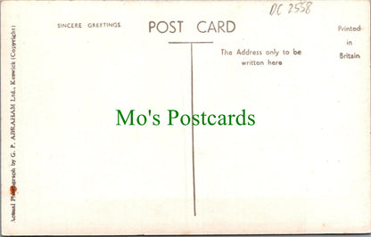 Cumbria Postcard - Windermere From Low Wood  DC2558