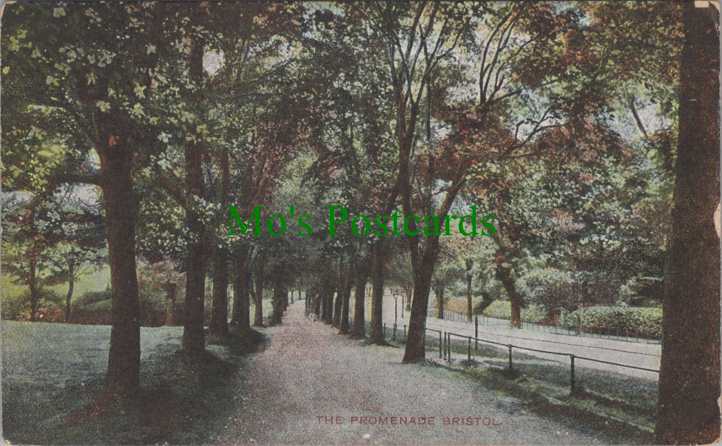 Bristol Postcard - The Promenade, Bristol   DC2586