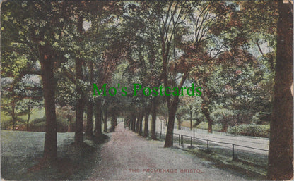 Bristol Postcard - The Promenade, Bristol   DC2586