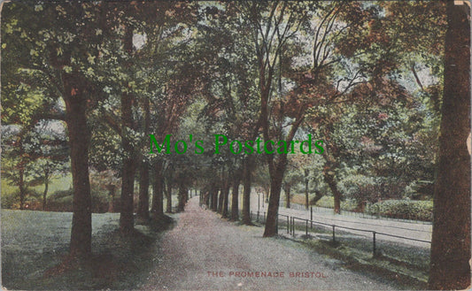 Bristol Postcard - The Promenade, Bristol   DC2586