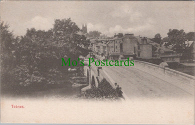Devon Postcard - Totnes Bridge SW12425