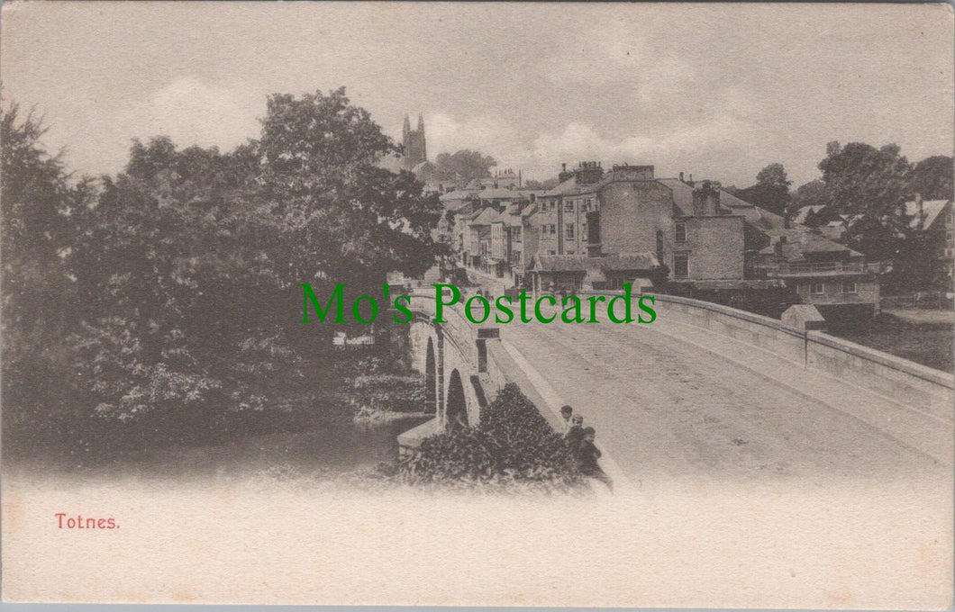 Devon Postcard - Totnes Bridge SW12425