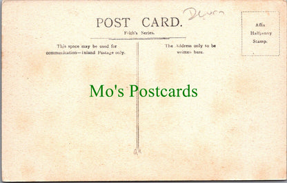 Devon Postcard - Totnes Bridge SW12425