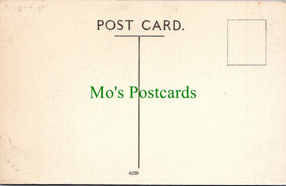 Oxfordshire Postcard - Summer Fields School, Near Oxford SW12431
