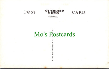 Devon Postcard - Totnes, Steamer Quay  SW12459