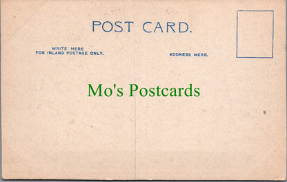 Yorkshire Postcard - In Studley Park  SW13241