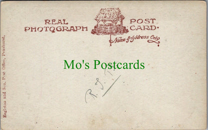 Kent Postcard - Penshurst Place. View From Bidborough Road  SW13254