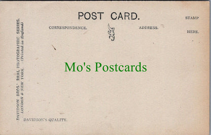 Romance Postcard - A Little Entanglement  SW13278