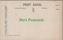 Load image into Gallery viewer, Romance Postcard - A Little Entanglement  SW13278
