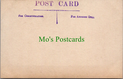 Ancestors Postcard - Girl With Long Hair, Nottingham Studio SW10956