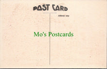 Load image into Gallery viewer, Cornwall Postcard - Liskeard, Golitha Falls  SW10978
