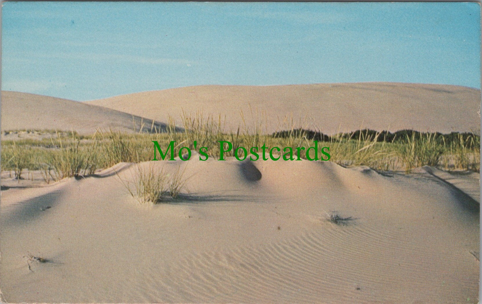 America Postcard - The Outer Banks of North Carolina  SW10985