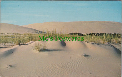 America Postcard - The Outer Banks of North Carolina  SW10985