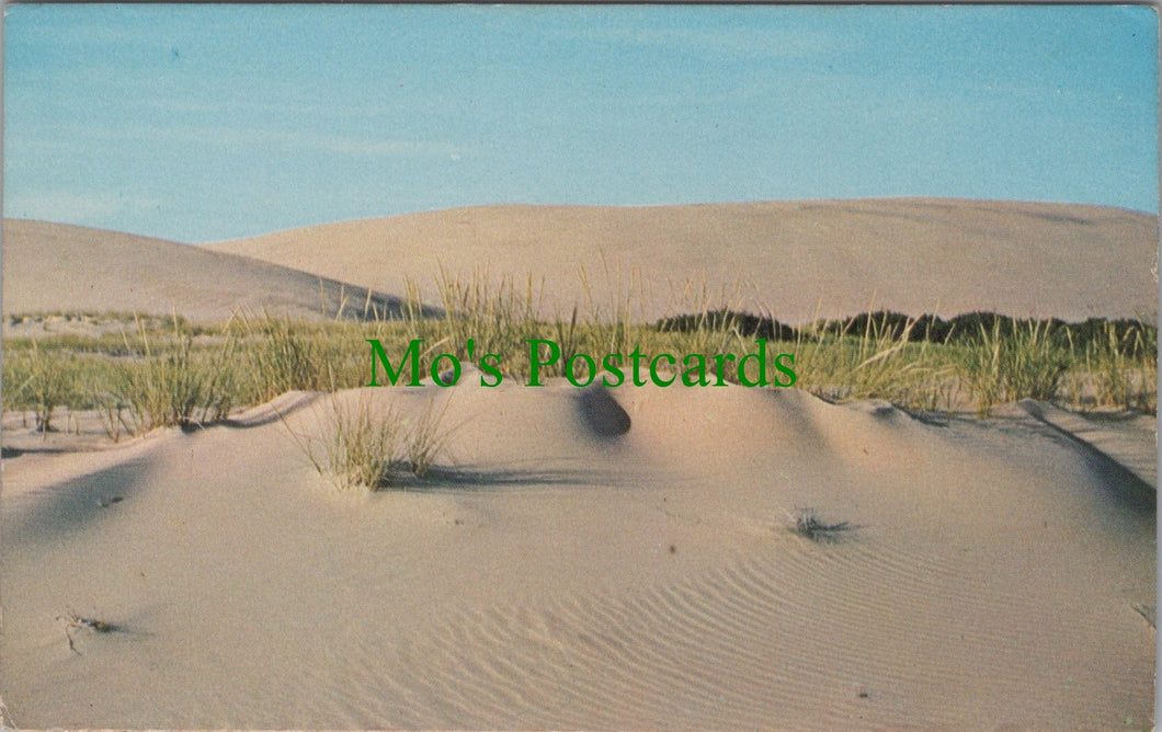 America Postcard - The Outer Banks of North Carolina  SW10985