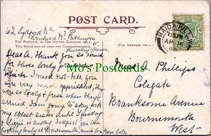 London Postcard - Charing Cross Station and Hotel   SW11013