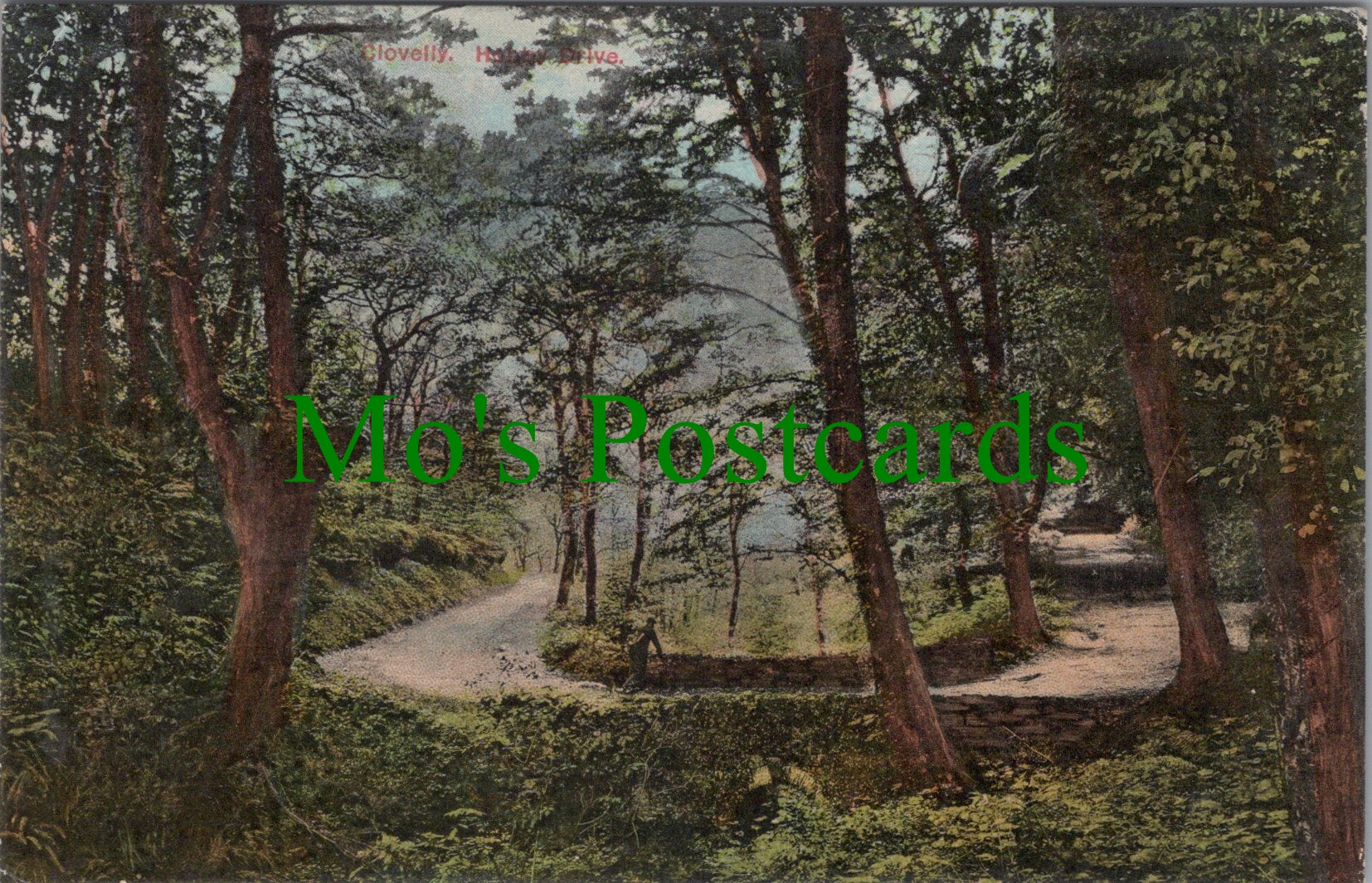 Devon Postcard - Clovelly, Hobby Drive  SW11045