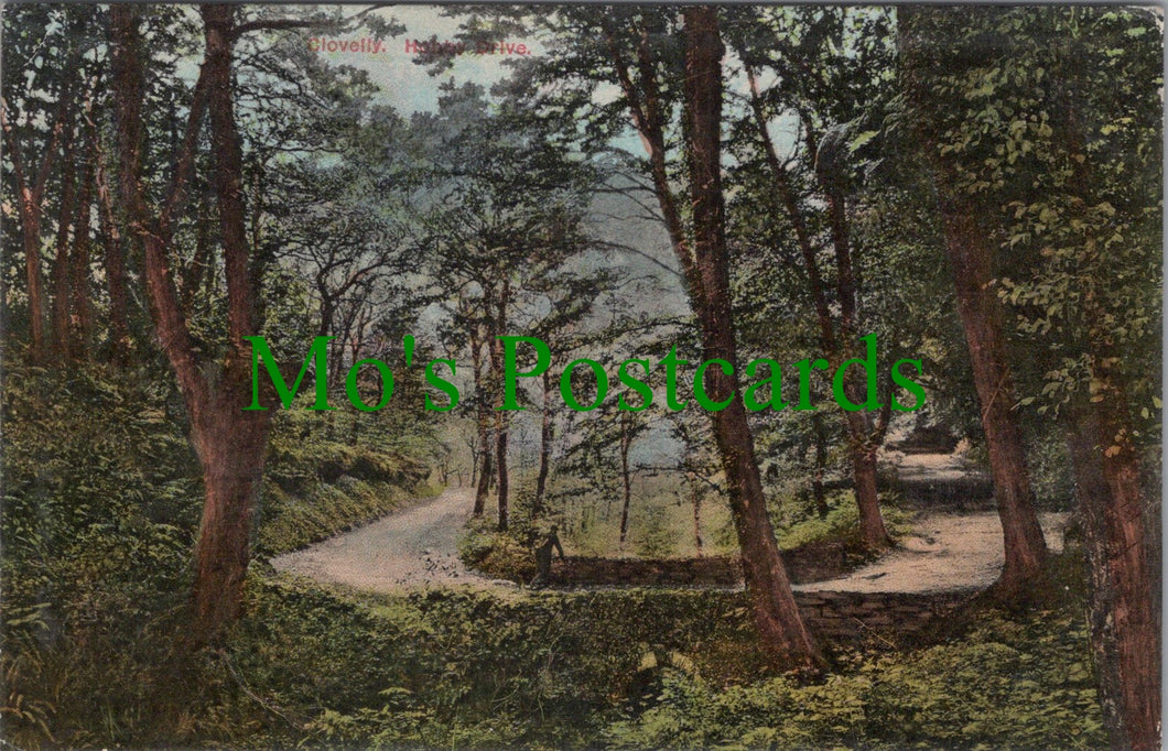 Devon Postcard - Clovelly, Hobby Drive  SW11045