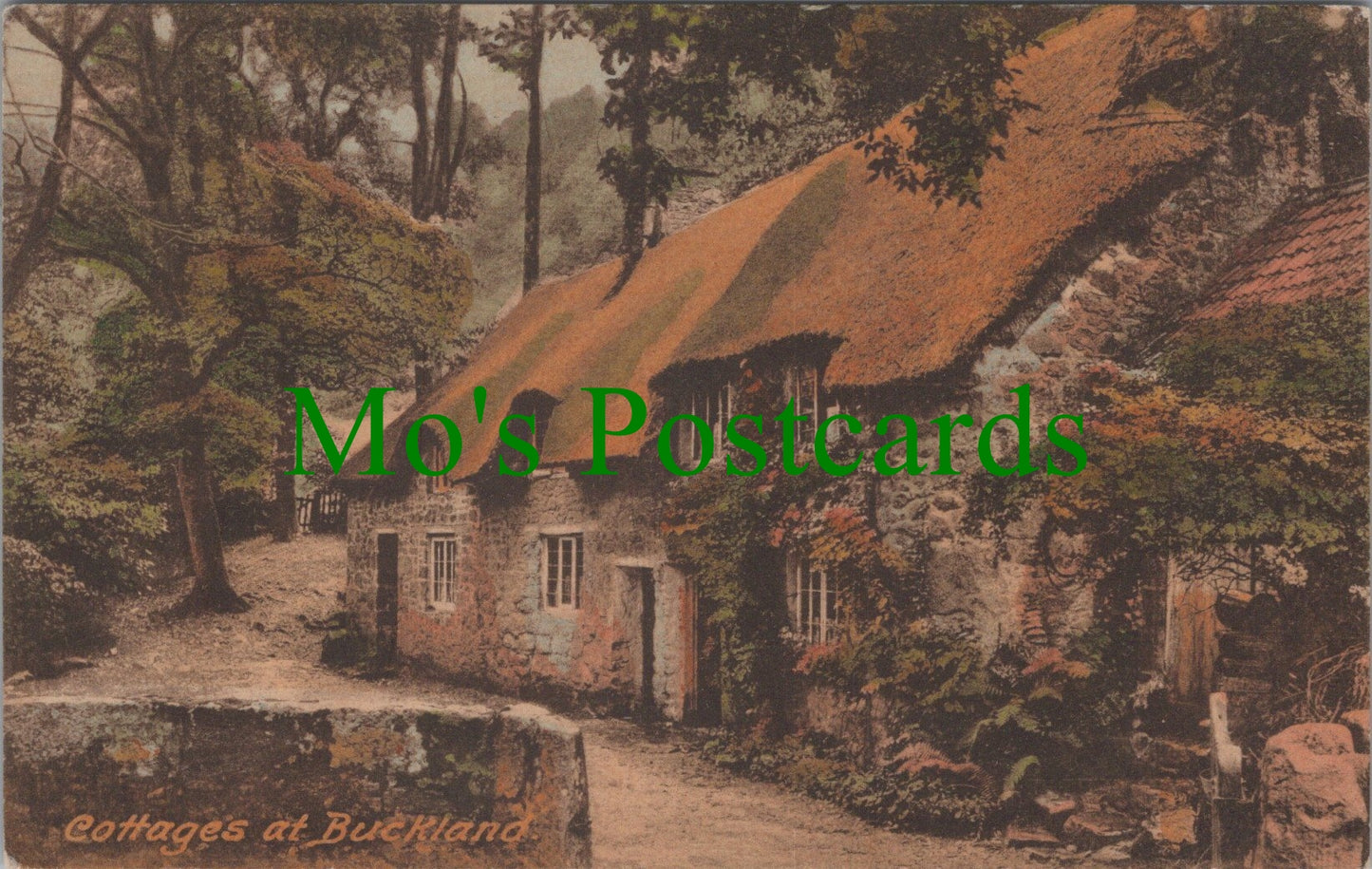 Devon Postcard - Cottages at Buckland  SW11049