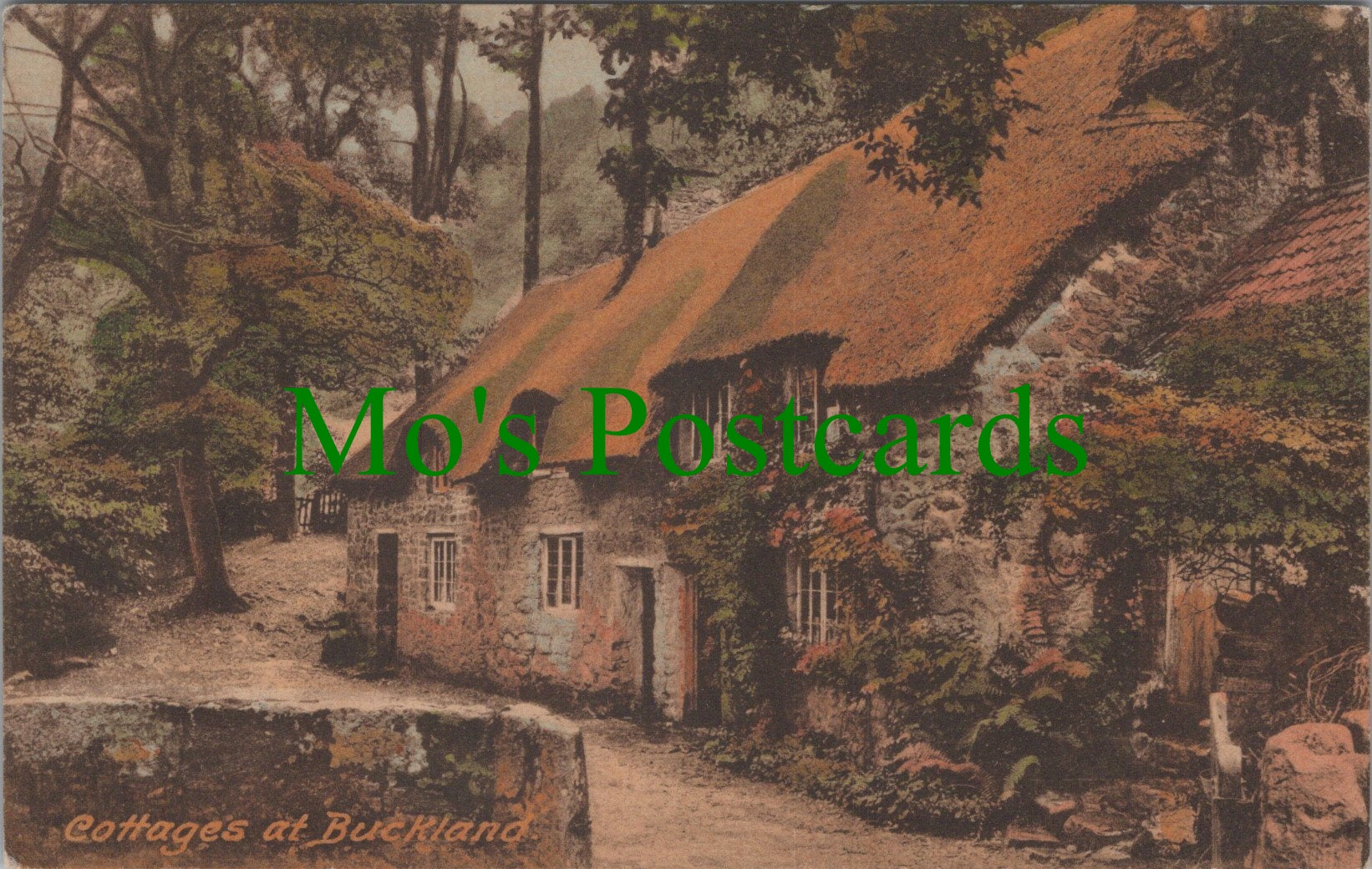 Devon Postcard - Cottages at Buckland  SW11049