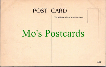 Kent Postcard - Walmer Castle, The Broadway   SW11060