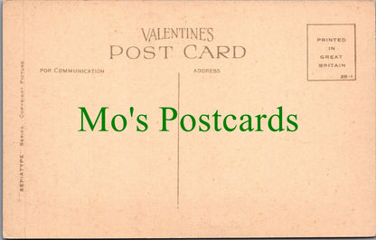 Somerset Postcard - Cheddar, A View in The Pass, High Rock  SW11079