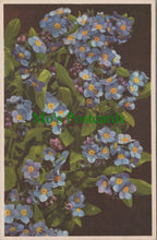 Load image into Gallery viewer, Nature Postcard - Flowers, Water Forget-Me-Not, Myosotis Palustris SW11083
