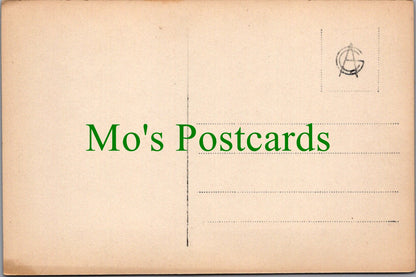 Norway Postcard - Tokagjel, Toka Gorge, Kvam  SW11092