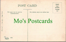 Load image into Gallery viewer, South Africa Postcard - Natal Bush   SW11108
