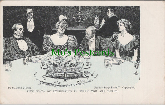 Snap-Shots Postcard - Comedy Cartoon & Sketches by C.Dana Gibson HP79