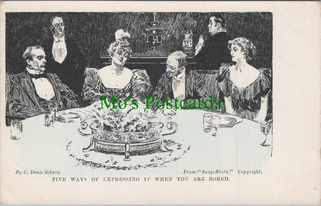 Snap-Shots Postcard - Comedy Cartoon & Sketches by C.Dana Gibson HP79