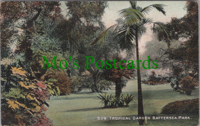 London Postcard - Sub Tropical Garden, Battersea Park  SW12495