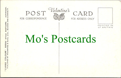 Ireland Postcard - An Irish Thatcher at Work  SW12509
